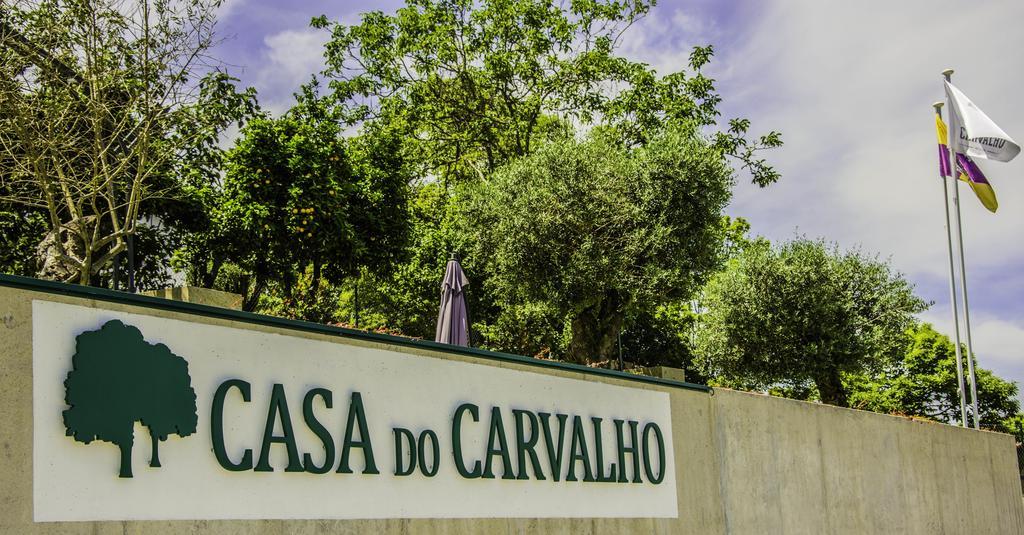 Apartament Casa Do Carvalho - Ponte De Lima Zewnętrze zdjęcie